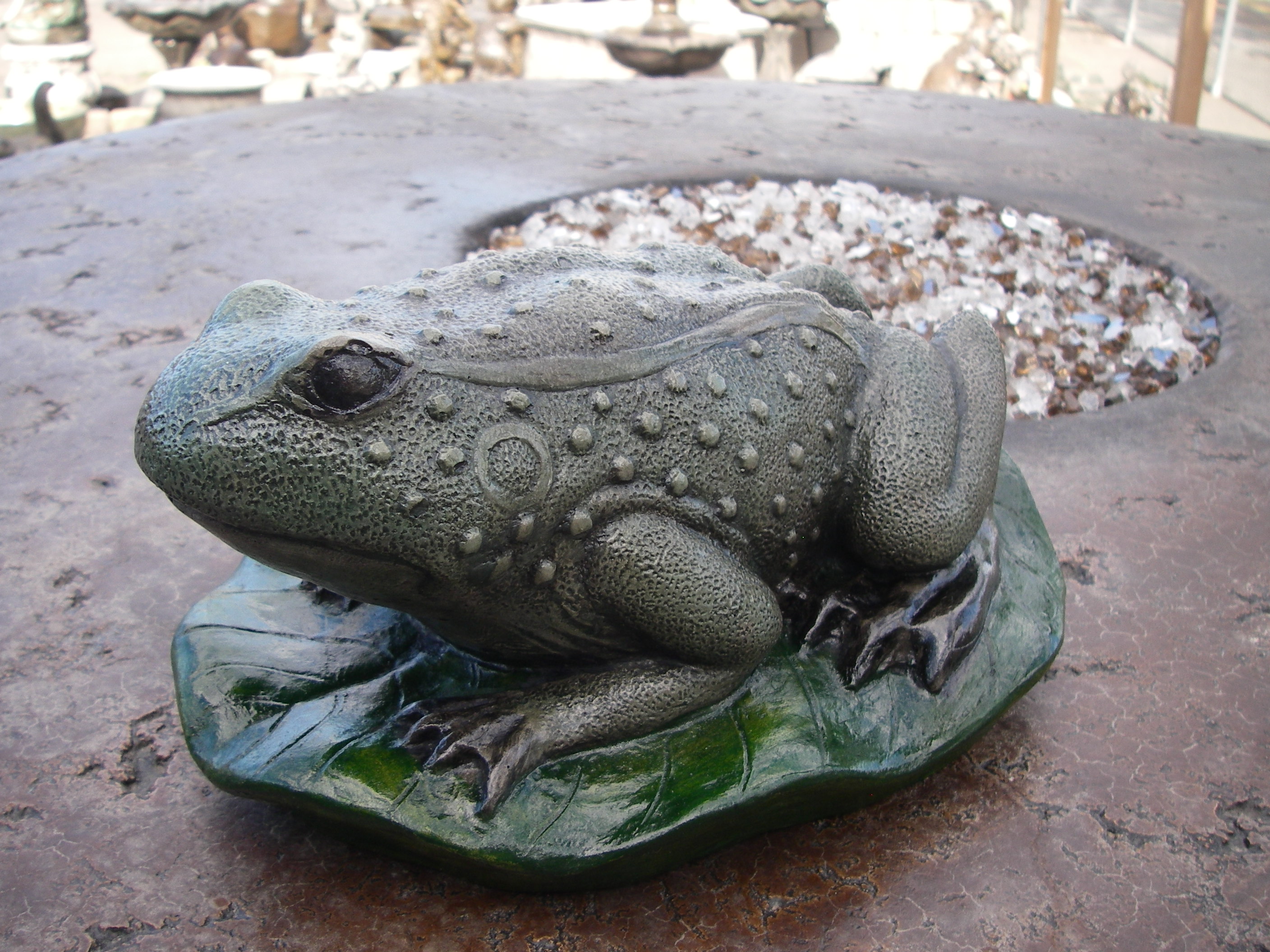 Bull Frog - mouth closed